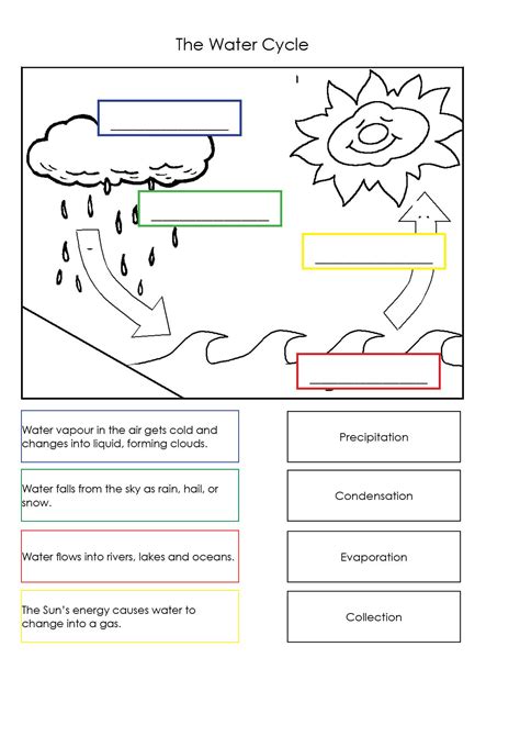 water cycle worksheet pdf.